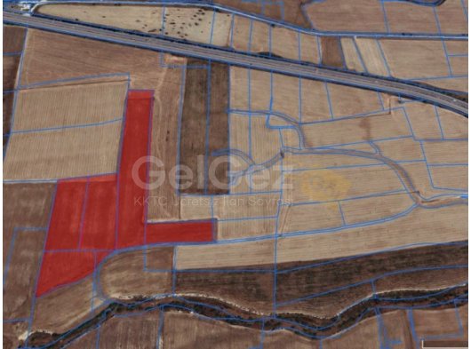 GAZİMAĞUSA MUTLUYAKA 6 PARSEL 35 DÖNÜM RESMİ YOLU OLAN TARLA