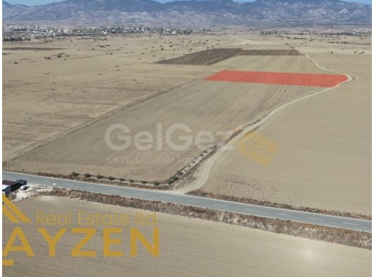 ULUKIŞLA- PINARLI YOLU ÜZERİ 7 DÖNÜM FASIL 96 KELEPİR FIRSAT *