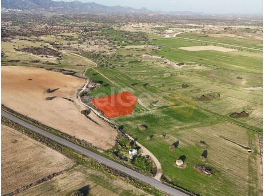 İSKELE YENİ İSKELE – SATILIK ARAZİ