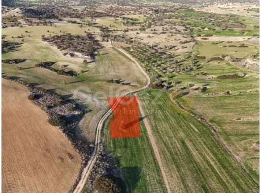 İSKELE YENİ İSKELE – SATILIK ARAZİ ???? YOLA YAKIN • YATIRIMA UYGUN • KAÇIRILMAYACAK FİYAT