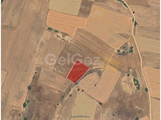 İSKELE KARPAZ KUMYALI KÖYÜ – SATILIK ARAZİ