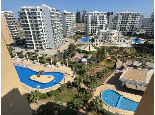 2+1 , Long Beach’te Caesar projesinde