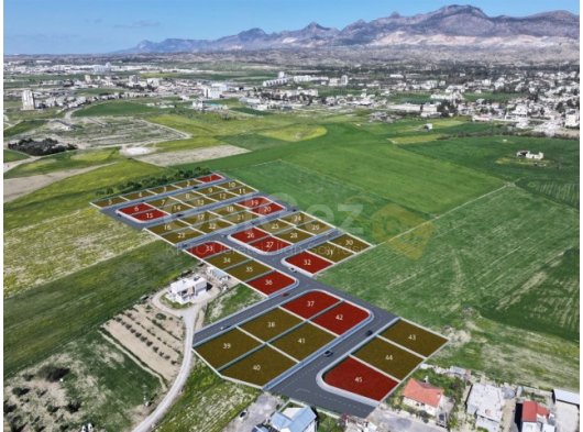 DEMİRHAN NOVA ARSALARI | SATIŞTA! *