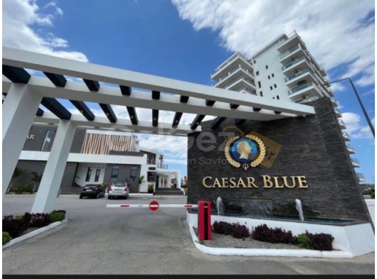 1+0 stüdyo,boğaz’da sezar blue