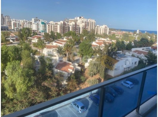 1+0 stüdyo,long beach’te royal life projesi