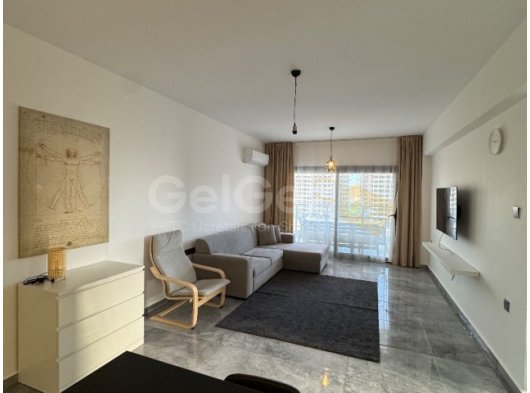 2+1 kiralık, long beach’te,sezar 6
