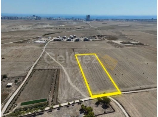 İskele Aygün Köyü Satılık Tarla