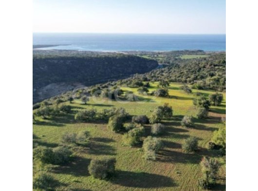 İskele Dipkarpaz Satılık 35 Dönüm Arazi