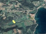 İskele Dipkarpazda satılık 2276,09 m2 tarla