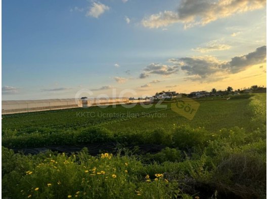 Gazimağusa Derinya bölgesinde imara açık 3 kat izinli tarla