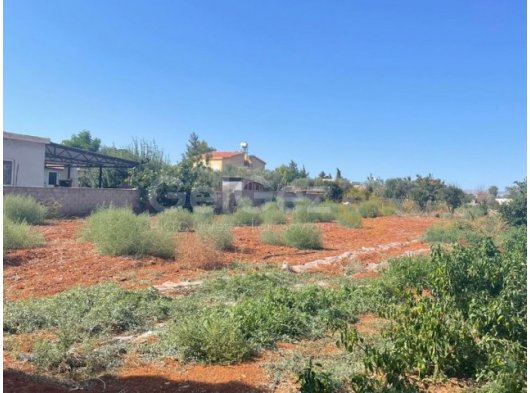 Gazimağusa mormenekşede satılık 5 dönüm arsa