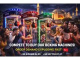 Smoke Effect Factory-Made Wholesale Boxing Punching Machine Arcade Machine Manufacturer and Sales