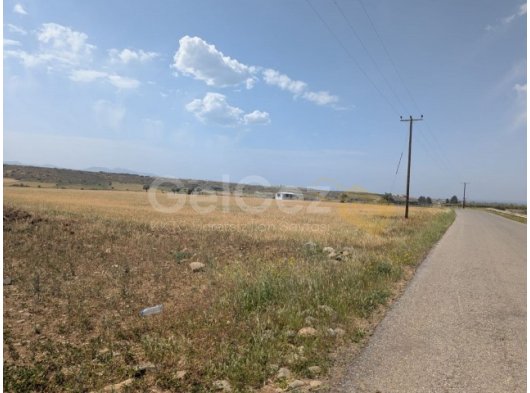 TAŞPINAR'DA, DOĞANCI-TAŞPINAR ASFALT ANAYOLU ÜZERİNDE, DÖNÜMÜ 45,000 STG., TÜRK KOÇANLI, İMARA AÇIK, HEM İNŞAAT VE HEM DE ARSA PARSELASYONUNA ÇOK UYGUN, DEN