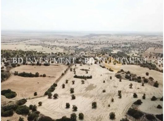 Şimdi Araziye Yatırım Yapma Zamanı !