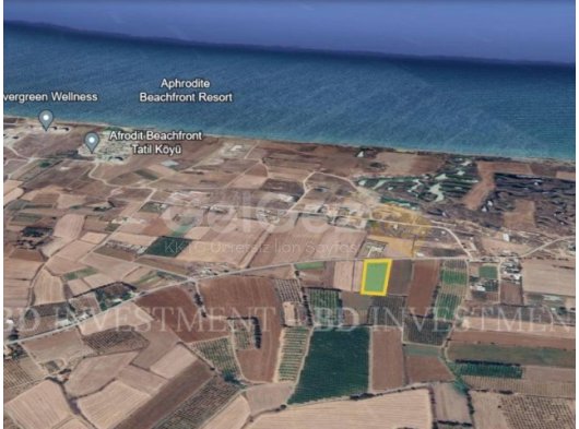 Gaziveren Sahile 700 Metre Mesafede 6 Dönüm Fırsat Arsa