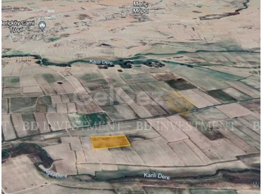 Meriç' te Yatırım Fırsatı 10.878 m² Tarla