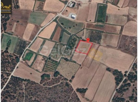 10300m2 Land For Sale Location Akdeniz Girne