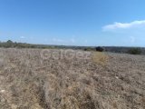 53861m2 Land For Sale Location Akdeniz Girne