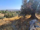 2700m2 Land For Sale Location Kozankoy Girne