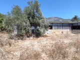 1720 Land For Sale Location Kozakoy Girne