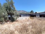 1720 Land For Sale Location Kozakoy Girne