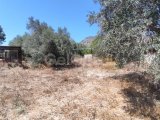 1720 Land For Sale Location Kozakoy Girne