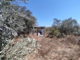 1720 Land For Sale Location Kozakoy Girne