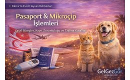 Kıbrıs’ta Evcil Hayvan Pasaportu ve Mikroçip Zorunluluğu