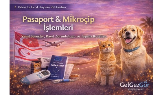 Kıbrıs’ta Evcil Hayvan Pasaportu ve Mikroçip Zorunluluğu