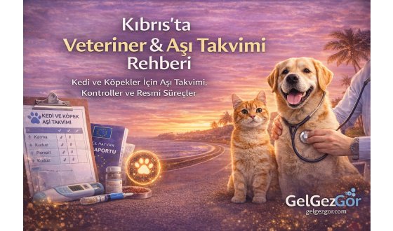 KIBRIS’TA VETERİNER & AŞI TAKVİMİ REHBERİ