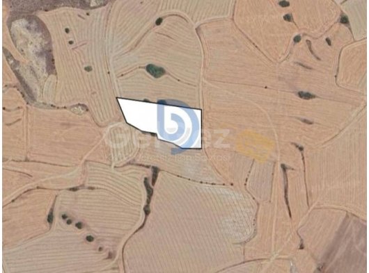 Kozanköy'de 846 m² Tarla