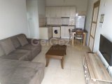 Zeytinlikte kiralık 1+1 daire