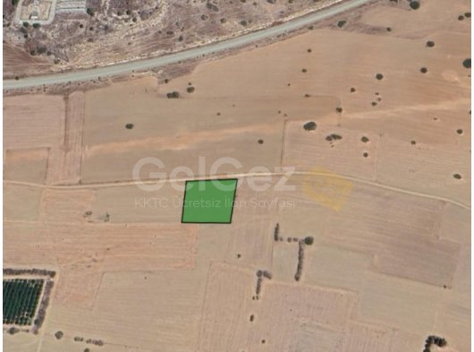 Kalkanlı'da Yatırım Fırsatı 3301 m² Tarla