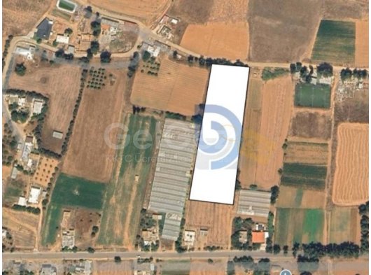 Gelincik'te Yatırım Fırsatı 7.902 m² Arazi