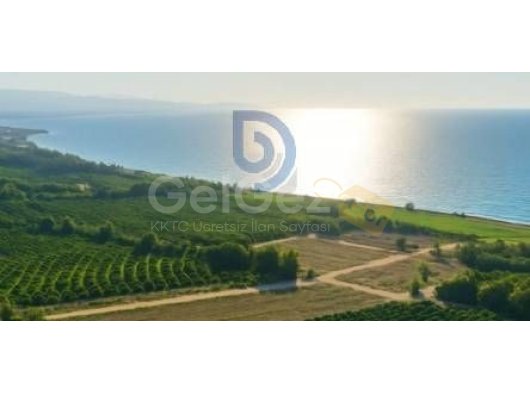 İster Yatırım,İster Yaşam İçin Denize 250 Metre Parsel Arsalar