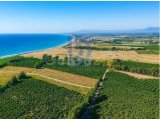 İster Yatırım,İster Yaşam İçin Denize 250 Metre Parsel Arsalar