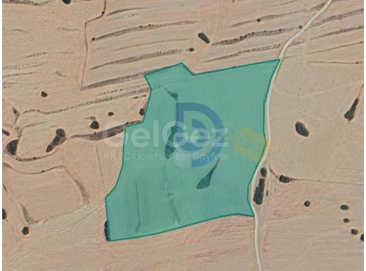 Kılıçaslan'da Fırsat Arazi-İster Yatırım, İster Proje, İster Tarım Yap