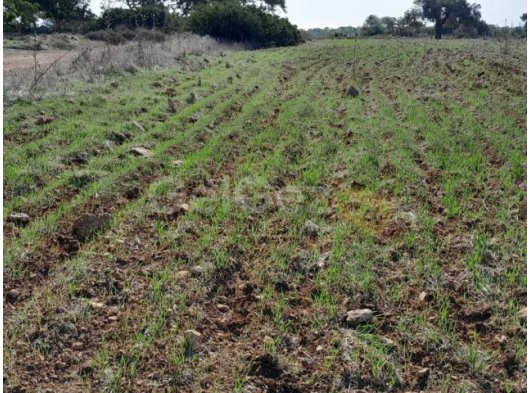 Derince'de Yatırım Fırsatı 5935 m² Arsa