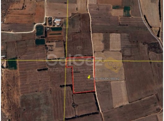 YENİBOGAZİÇİ SATILIK TARLA 16,5 DONUM DONUM BAŞI 9000 STG EŞDEGER KOÇAN ISTENEN 148,500 STG TARLAYA SADECE EKIM BICIM YAPILIR
