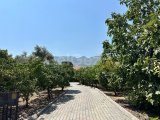 Girne Edremit; Kolay Lokasyonda, 4 Dönüm İçerisinde, Dağ Deniz Manzaralı! Meyve Bahçeleri ile Çevrili; Villa + Yardımcı Ev