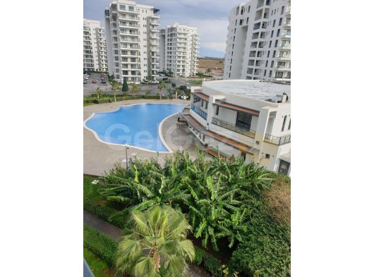 KELEPİR FİYAT ACİL SATILIK CAESAR BLUE DA TÜM MASRAFLAR ÖDENMİŞ DEVİR BEDELİ DAHİL