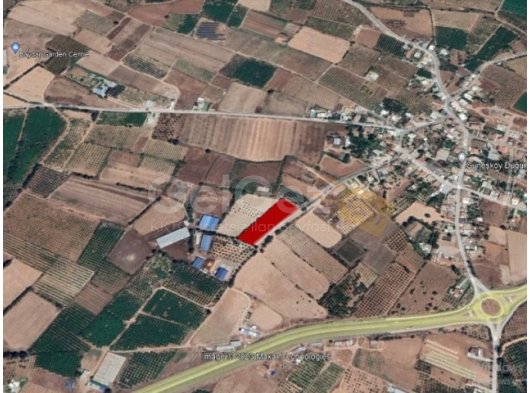 Güzelyurt Güneşköy Bölgesinde Fasıl 96 4,5 Dönüm Arsa Satılık