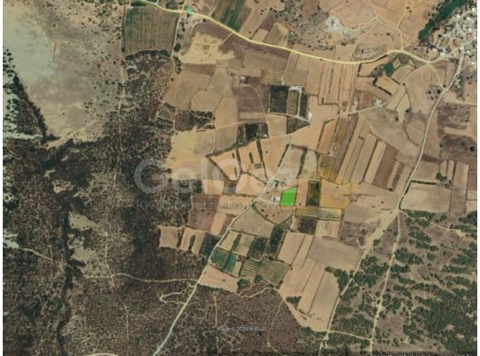 Akdeniz Bölgesinde 3,5 Dönüm Denize 1200m Mesafede Satılık Arsa