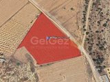 Mağusa İnönü Bölgesinde 8 Dönüm Arsa Satılık