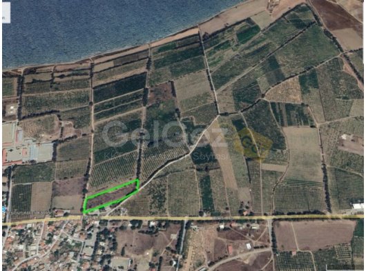 Lefkeye Bağlı Yeşilyurt Bölgesinde Satılık Arazi