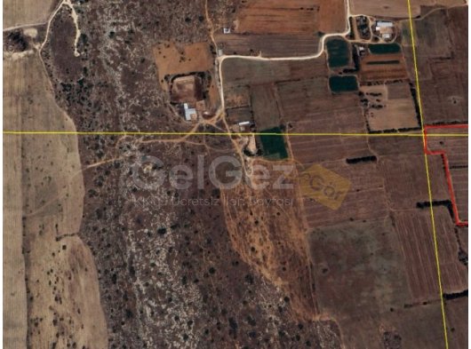 SATILIK TARLA YENİ BOĞAZİÇİ 9000 £ DÖNÜMÜ