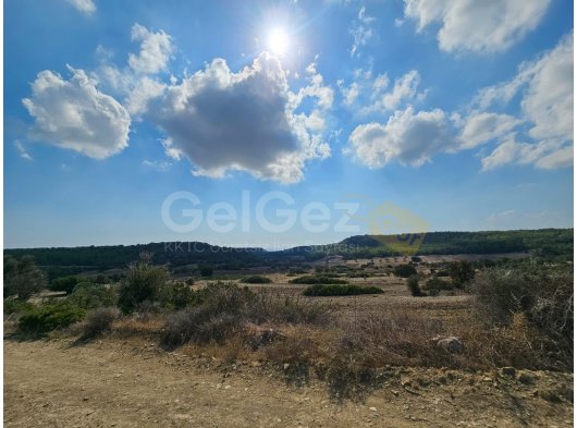 ZİYAMET'TE SATILIK TARIMA UYGUN ARAZİ