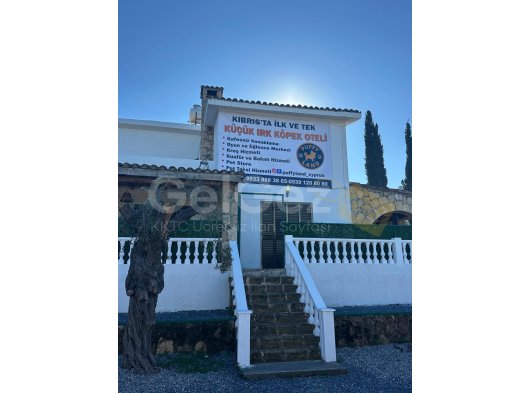 Puffy Land Cyprus, küçük ırk dostlarınız için güvenli, sevgi dolu ve konforlu bir konaklama alanı sunar.