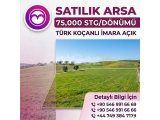 DOĞANCI'DA İMARA AÇIK SATILIK TÜRK KOÇANLI ARSA