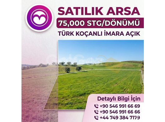 DOĞANCI'DA İMARA AÇIK SATILIK TÜRK KOÇANLI ARSA